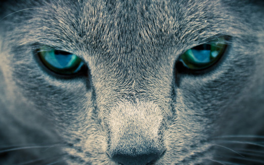 499087 (a): :1920x1200